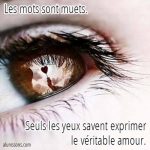 yeux amour